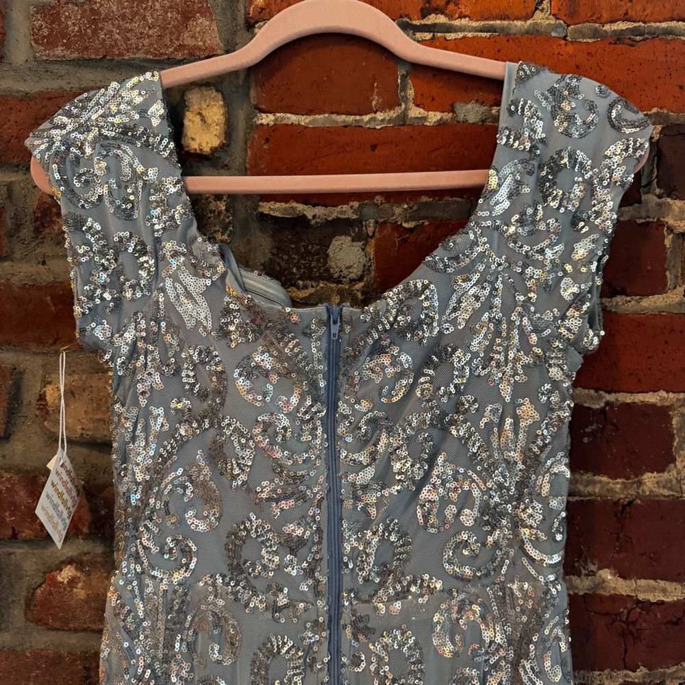Elegant Powder Blue and Silver Sequin Gown - Picture 15 of 17